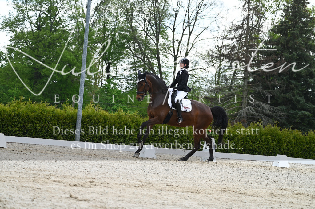 20230512_JK-Röhrsdorf-03-005 | Pferde- und Turnierfotografie in Westsachsen. Pferdeportraits, Auftragszeichnungen und intuitive Kunst.