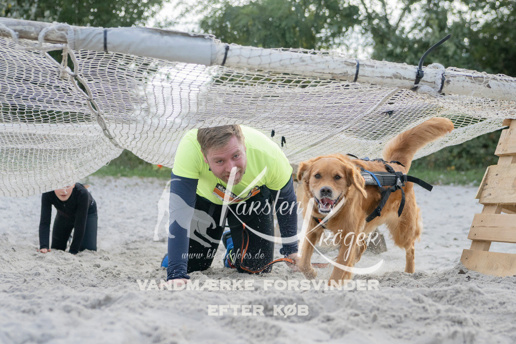 1352_ZZ98441 | kk-dogfotos