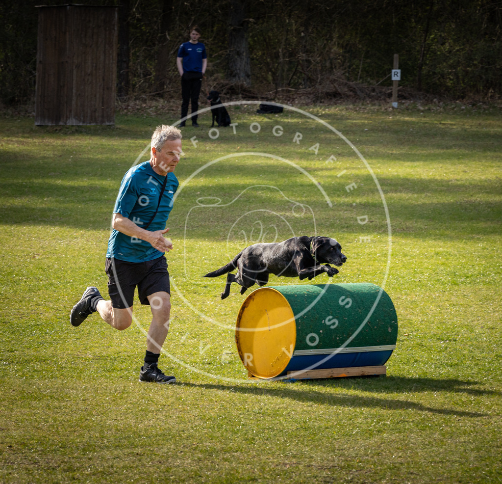 Pfotenfotografie_DV3A2790 | Hundefotografie, Tierfotograf, Pfotenfotografie, Fotoshooting Hund, Hunde Portrait, Hundesport, Hundeportraits, Heideshooting, Hunde, Sportfotograf, Hundefotograf, Turnierhundsport, THS,  - Realisiert mit Pictrs.com