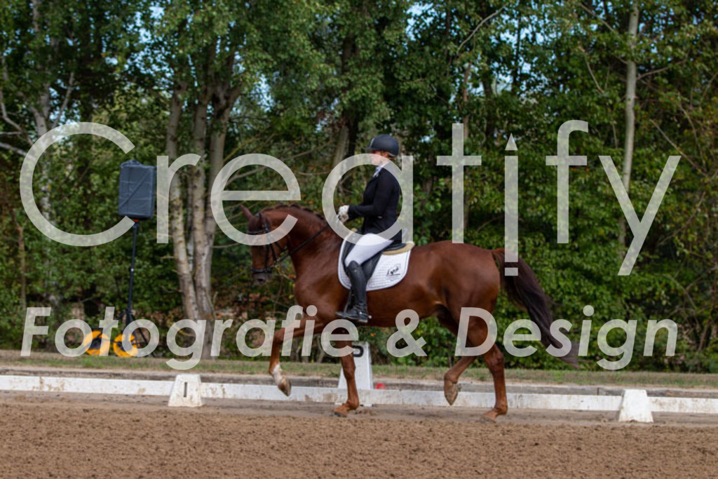 IMG_3746 | Creatify Fotografie