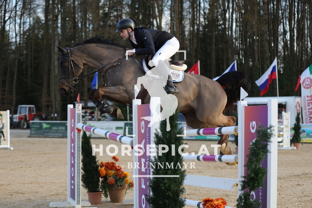 0P6A3279 | Willkommen bei Brunnmayr - Design & Fotografie – Ihrem Spezialisten für Reitturniere und Pferdeveranstaltungen in Oberösterreich, Salzburg und Bayern! Seit über 17 Jahren sind wir leidenschaftlich dabei.