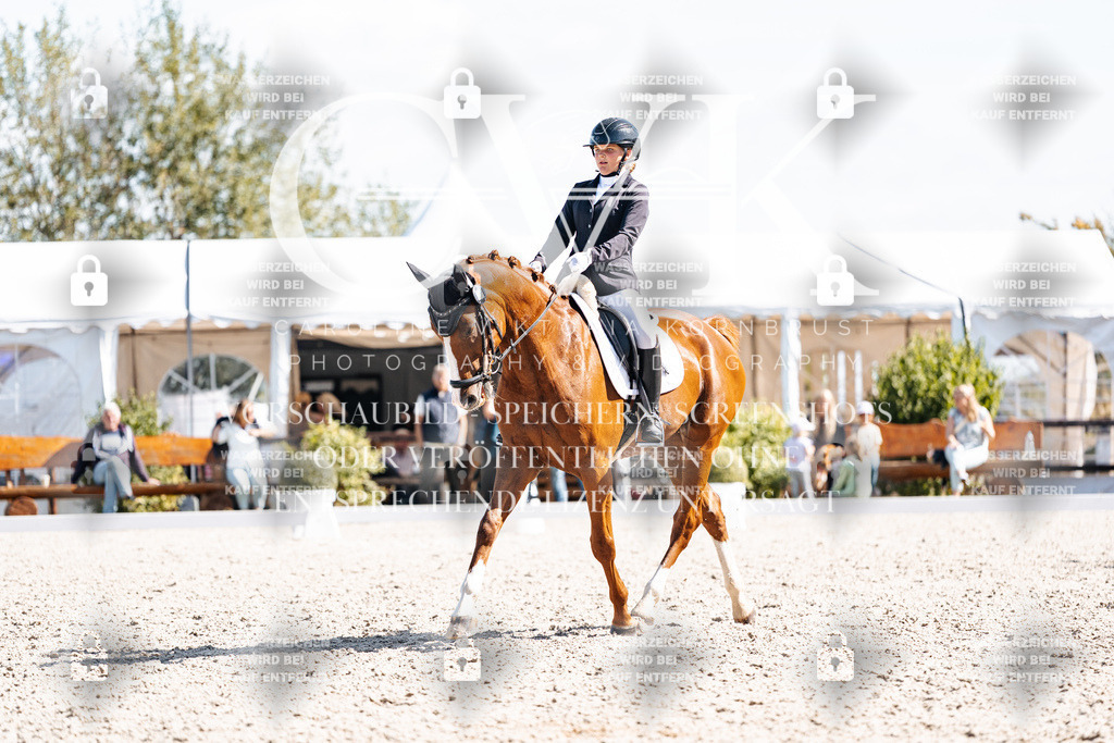 CK902801 | Turnierfotografie Pferdefotografie Trier Rheinland-Pfalz Pferdesport Reitsport Tierfotografie Sportfotografie Pferdevideo Pferdevideografie Equestrianvideography equestrianphotography  - Realisiert mit Pictrs.com