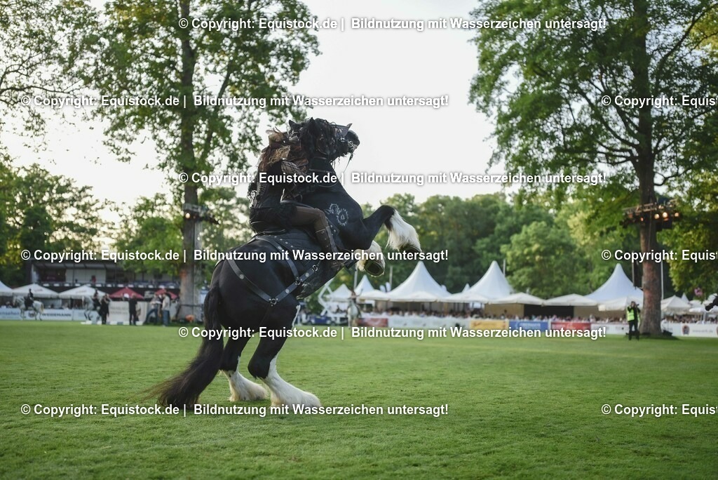 20230526_Pferdenacht_0301 | equistock