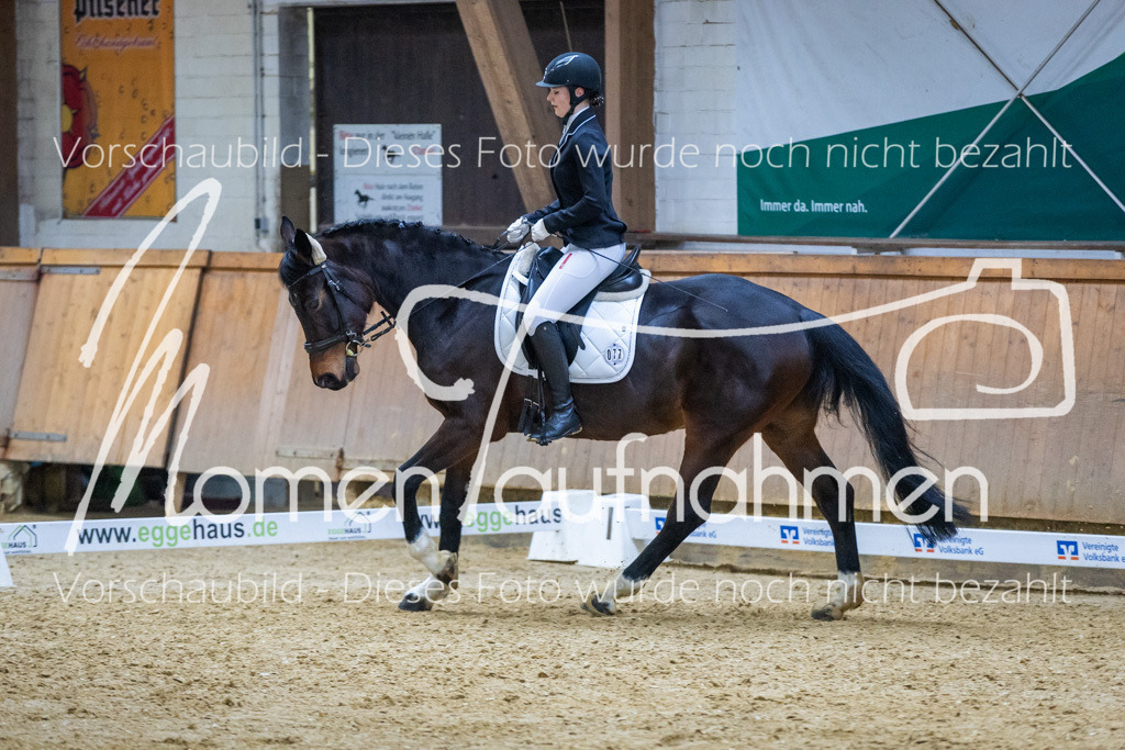 Sth-WBO25-EDr-079 | MomenTaufnahmen Pferdesportfotos