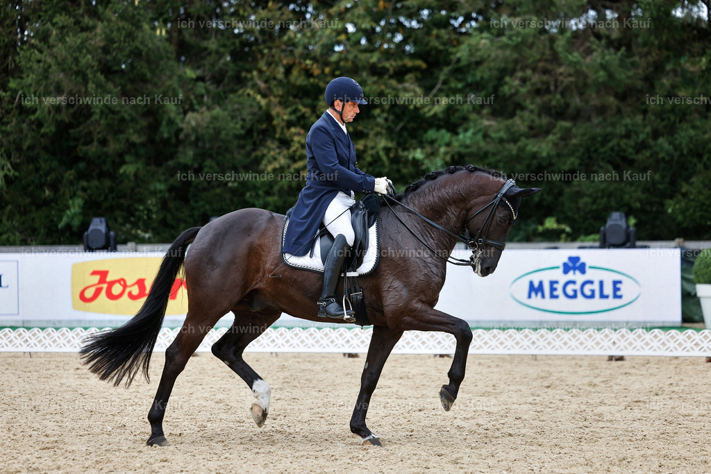 11-058-Dressur S___-StoibPH-1481 | working equitationturnier fotograf videograf stoibphotography marixx film working equitation deutschland reitsport turnierfotografie eventfotografie equestrian events
