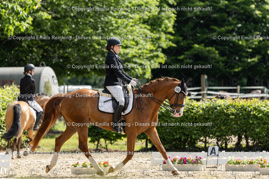 CL5A7635 | Emilia Reinking Fotografie - Realisiert mit Pictrs.com