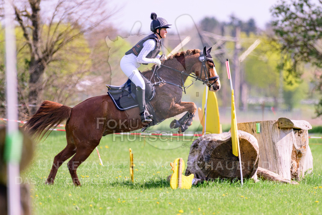 18042026-Gernlinden-04-1-0115 | Fokus Hufschlag Fotografie - Realisiert mit Pictrs.com