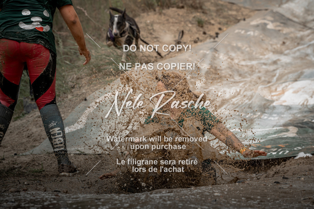 nelerasche_sa1600-1700_379 | nelerasche