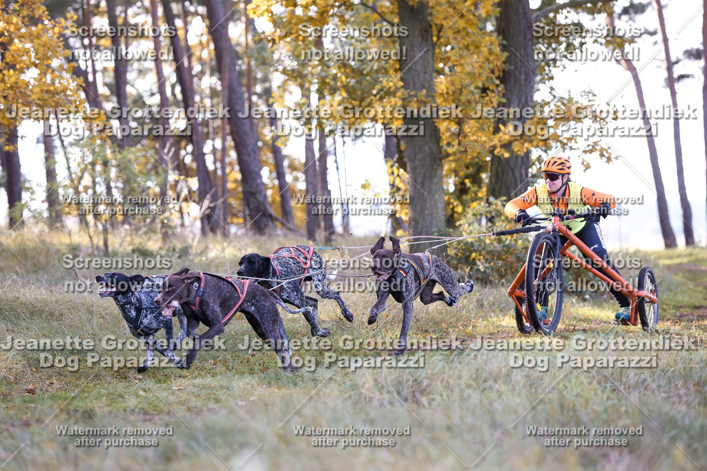 Dog Paparazzi - Elsholz 25 -86 | Dog Paparazzi Jeanette Grottendiek Fotografie & Videografie - Realisiert mit Pictrs.com