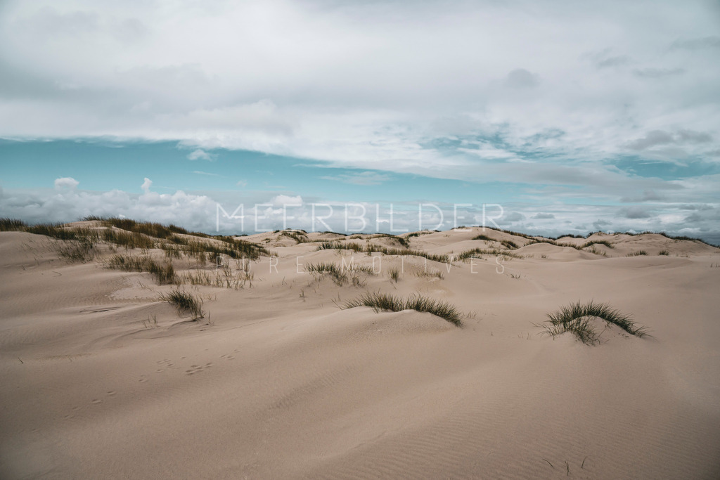Nordsee Dünen Amrum | Gestalten Sie Ihr Zuhause mit einzigartigen Bildern von Ostsee u. Nordsee – als Leinwandbild, Acryl, Alu-Dibond oder FineArt Hahnemühle, individuell anpassbar.