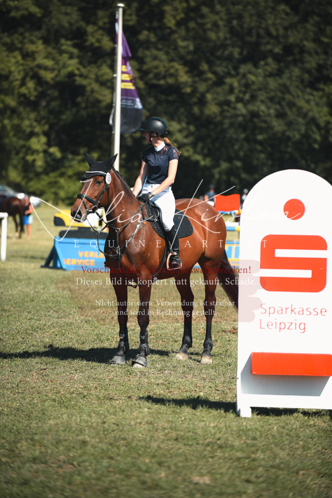DSC_7302 | Pferde- und Turnierfotografie in Westsachsen. Pferdeportraits, Auftragszeichnungen und intuitive Kunst.