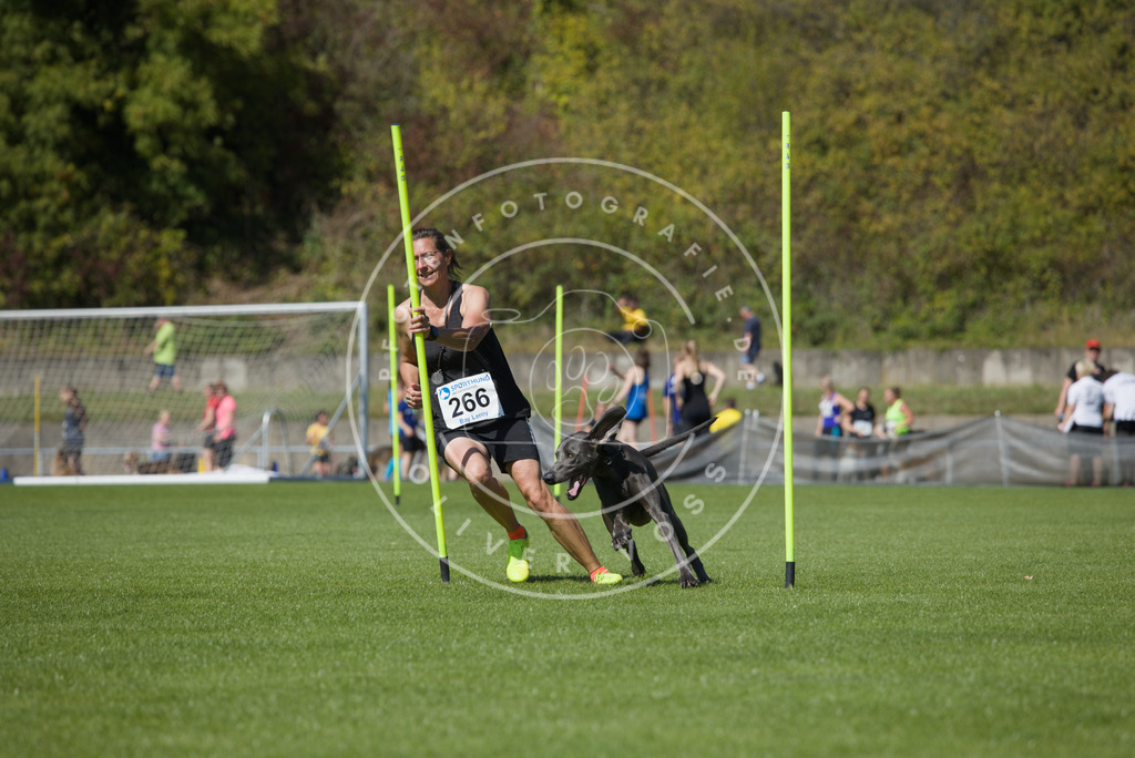 0L8A6571 | Hundefotografie, Tierfotograf, Pfotenfotografie, Fotoshooting Hund, Hunde Portrait, Hundesport, Hundeportraits, Heideshooting, Hunde, Sportfotograf, Hundefotograf, Turnierhundsport, THS,  - Realisiert mit Pictrs.com