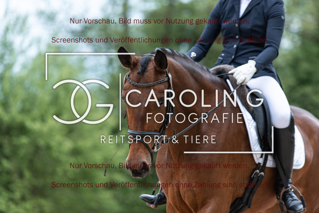 DSC_7072 | Turnierfotografin Carolin Gieschke,Reitsport Turnierfotografie Carolin G Fotografie | Turnierfotos aus Kirchheim/Teck, Esslingen, Stuttgart und dem Bodenseekreis