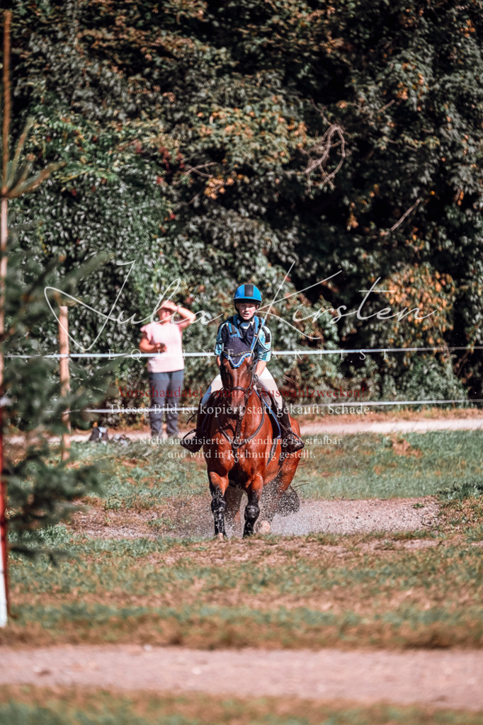 DSC_0825 | Pferde- und Turnierfotografie in Westsachsen. Pferdeportraits, Auftragszeichnungen und intuitive Kunst.
