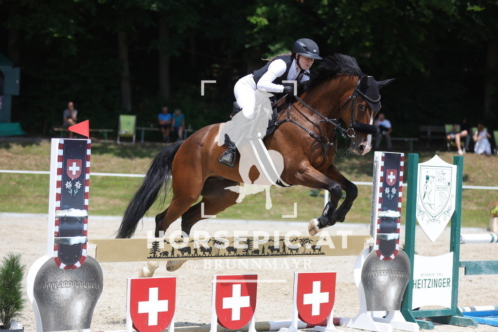 0P6A9572 | Willkommen bei Brunnmayr - Design & Fotografie – Ihrem Spezialisten für Reitturniere und Pferdeveranstaltungen in Oberösterreich, Salzburg und Bayern! Seit über 17 Jahren sind wir leidenschaftlich dabei.