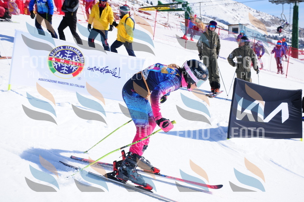 DSC_4203 | holidayphoto