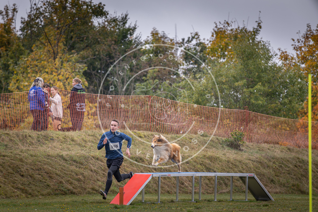 Pfotenfotografie_DV3A1469 | Hundefotografie, Tierfotograf, Pfotenfotografie, Fotoshooting Hund, Hunde Portrait, Hundesport, Hundeportraits, Heideshooting, Hunde, Sportfotograf, Hundefotograf, Turnierhundsport, THS,  - Realisiert mit Pictrs.com