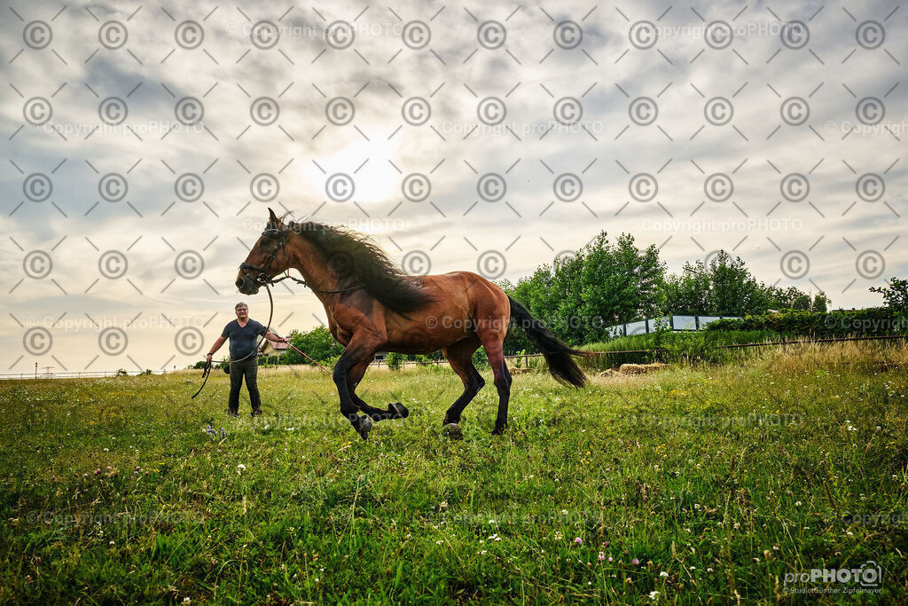 083_202406_Niki-Herodes_NZ9_9800 | proPHOTO - Realisiert mit Pictrs.com