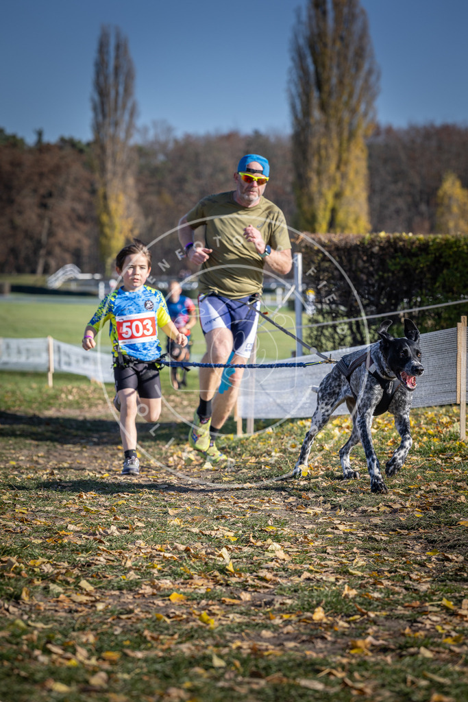 CaniXpix_DV3A7871 | Hundefotografie, Tierfotograf, Pfotenfotografie, Fotoshooting Hund, Hunde Portrait, Hundesport, Hundeportraits, Heideshooting, Hunde, Sportfotograf, Hundefotograf, Turnierhundsport, THS,  - Realisiert mit Pictrs.com