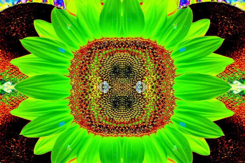 Sonne der Moos Galaxie | Moderne Digital Art – Exklusive Kunstwerke für dein Zuhause
Entdecke einzigartige Digital Art und verleihe deinen Räumen eine moderne und stilvolle Atmosphäre. Unsere hochwertigen Kunstdrucke kombinieren innovative Technik mit künstlerischer Kreativität und bringen abstrakte, geometrische und futuristische Designs direkt an deine Wand.
✔ Hochauflösende Drucke in brillanten Farben
✔ Exklusive Motive von talentierten Digital Artists
✔ Verschiedene Formate für jeden Raum und Stil
✔ Perfekt als Wandkunst für Wohnzimmer, Büro oder Galerie
Lass dich von unserer modernen, abstrakten und minimalistischen Kunst inspirieren und finde dein neues Lieblingsmotiv! Jetzt bestellen und dein Zuhause mit hochwertiger Digital Art verschönern.
 - Realisiert mit Pictrs.com