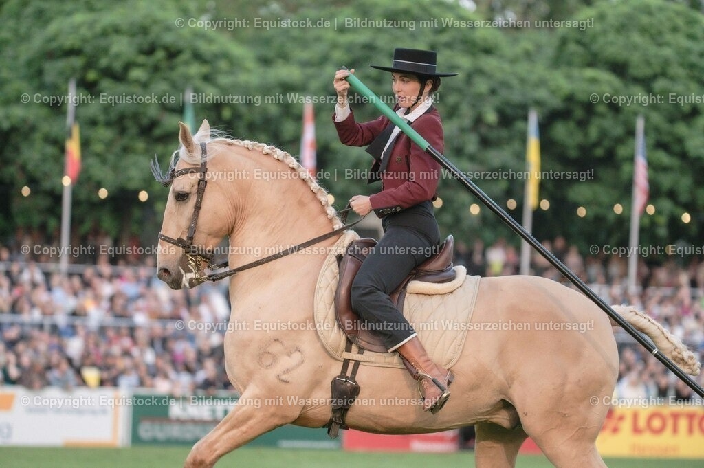 20230526_Pferdenacht_0720 | equistock