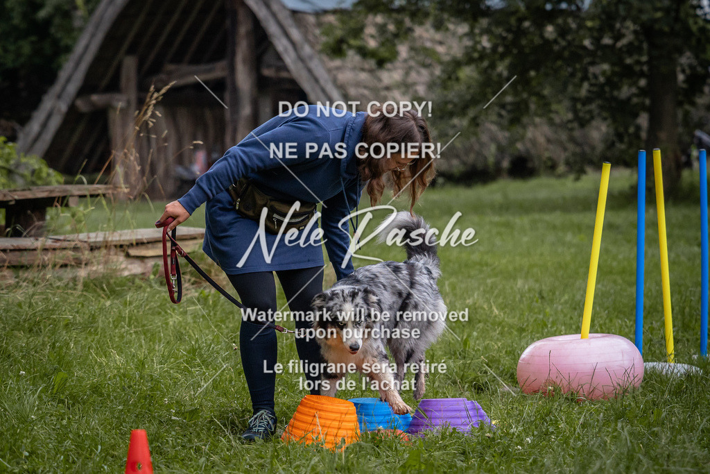 nelerasche_SoEarlyDog_34 | nelerasche