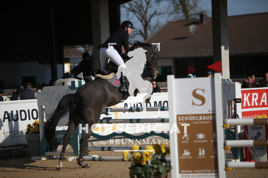 AS8V4992 | Willkommen bei Brunnmayr - Design & Fotografie – Ihrem Spezialisten für Reitturniere und Pferdeveranstaltungen in Oberösterreich, Salzburg und Bayern! Seit über 17 Jahren sind wir leidenschaftlich dabei.