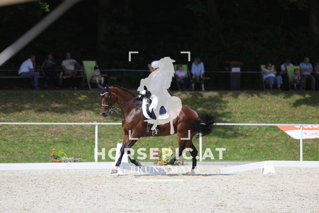 0P6A6617 | Willkommen bei Brunnmayr - Design & Fotografie – Ihrem Spezialisten für Reitturniere und Pferdeveranstaltungen in Oberösterreich, Salzburg und Bayern! Seit über 17 Jahren sind wir leidenschaftlich dabei.