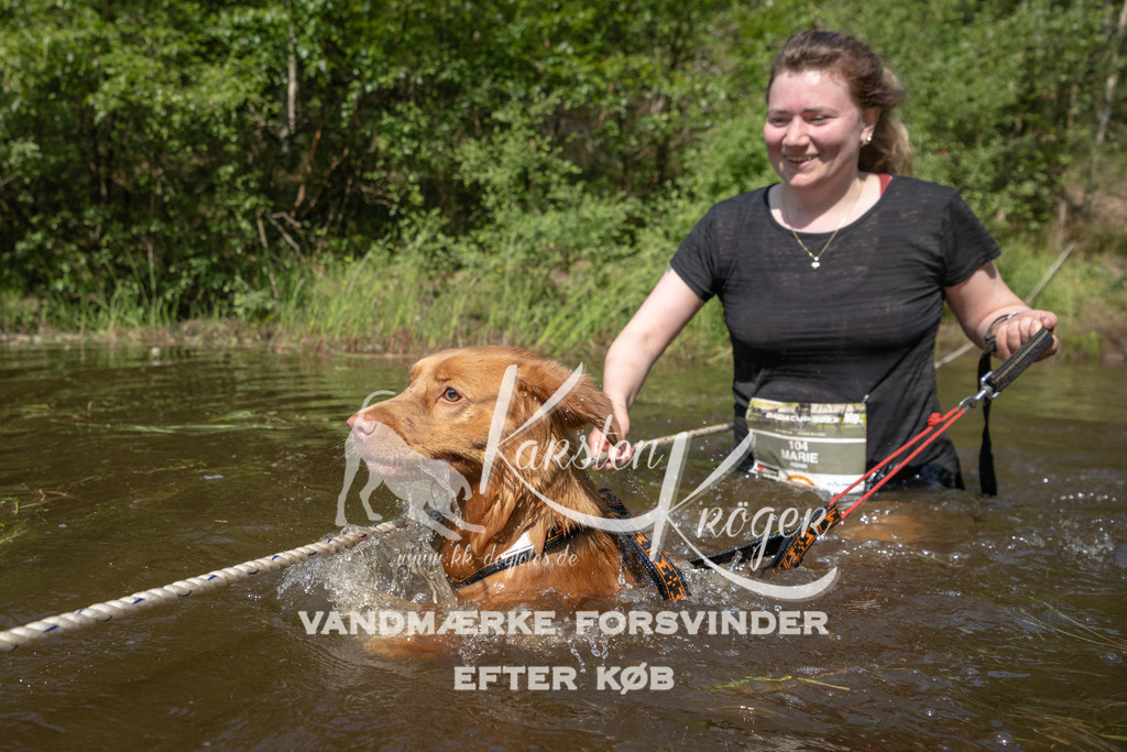 1035DKK991034 | kk-dogfotos