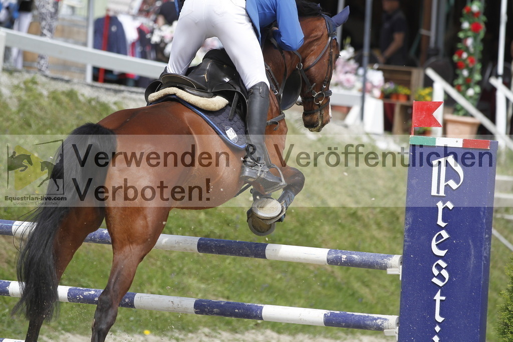 _MG_5407 | equestrian-live-com