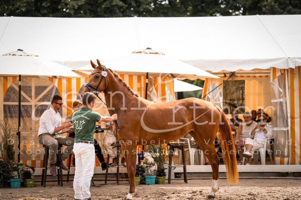 7.Fr00041 | Leoni Ertmer Photography - Realisiert mit Pictrs.com