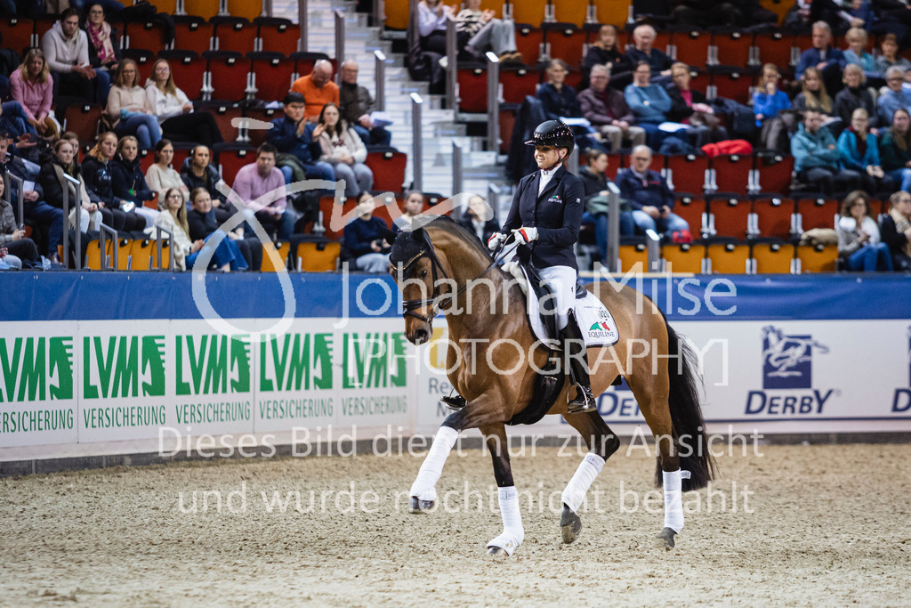 250108_Muenster_Hengstpräsentation-145 | Deine schönsten Turniermomente als professionelle Fotos! Entdecke hochwertige Pferdesport-Fotografie im Online-Shop. Jetzt Fotos finden & bestellen!