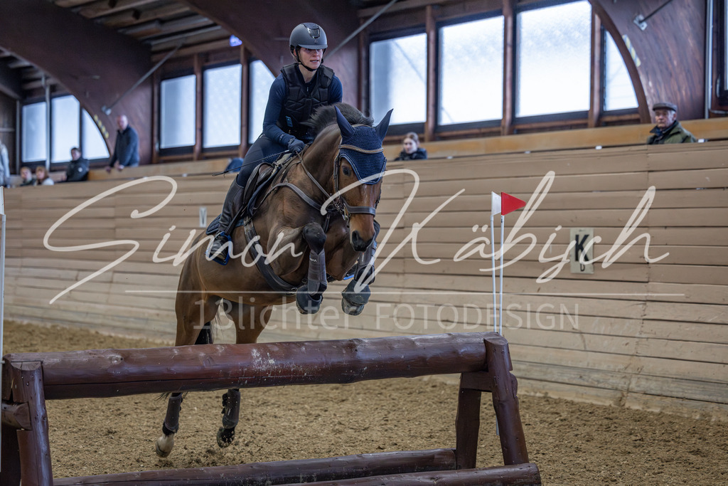 20260221-_3LI9313 | Tierfotografie Pferde, Hunde, Katzen, Haustiere.
Turnierfotografie Reitturniere, Reiten, Springreiten, Dressur in Hanau, dem Main-Kinzig-Kreis und dem Rhein-Main- Gebiet um Frankfurt
