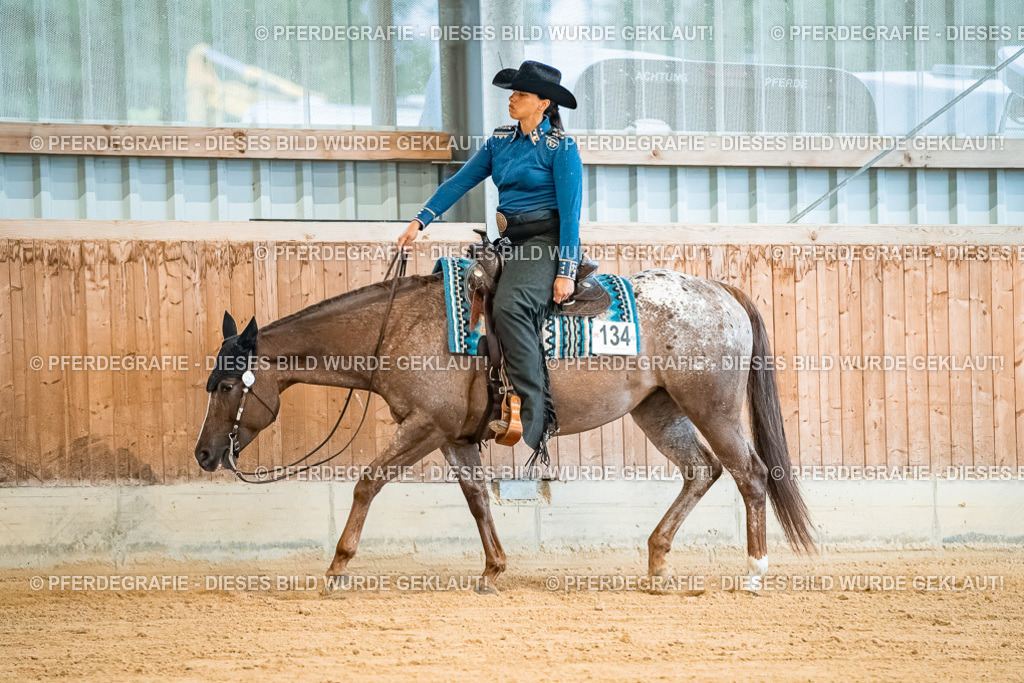 DSC09942 | Pferdegrafie