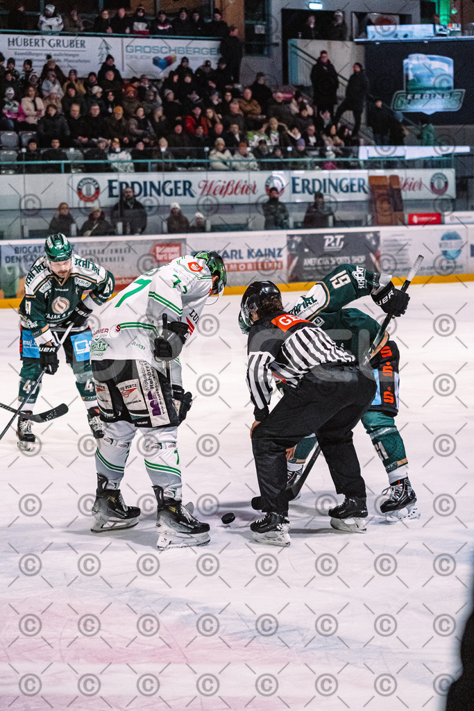 Erding_vs_Alligators_02_01_2026-48 | Höchstadt Alligators Fotogalerie: Eishockey-Action aus Franken. Professionelle Spielfotos, Portraits & Stadionbilder zum Download. Jetzt entdecken! - Realized with Pictrs.com