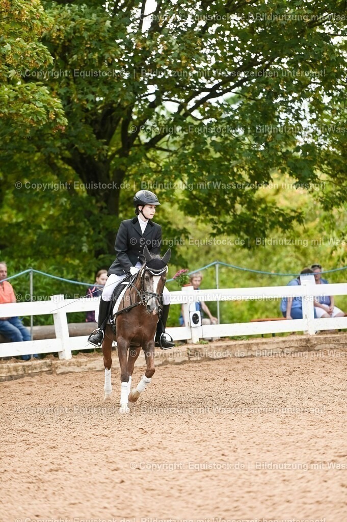 20230716_10-2_Reiter-WB Schritt - Trab - Galopp_0078 | equistock