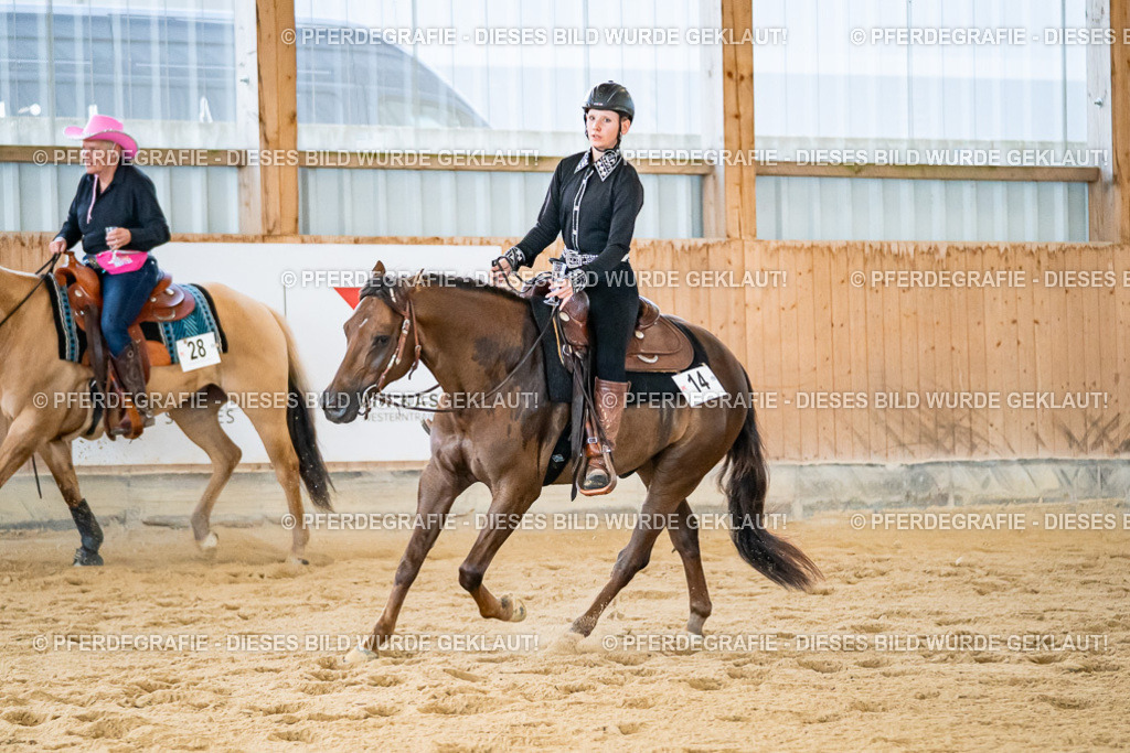 DSC09118 | Pferdegrafie