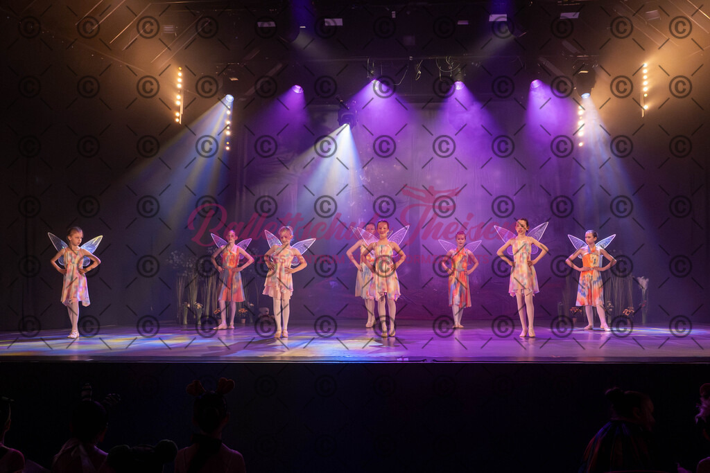 Ballettaufführung-956 | Bildershop Lem'n Entertainment - Realisiert mit Pictrs.com