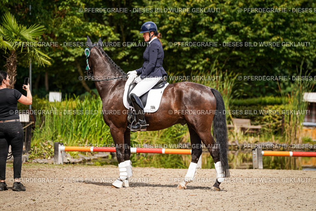 DSC09823 | Pferdegrafie