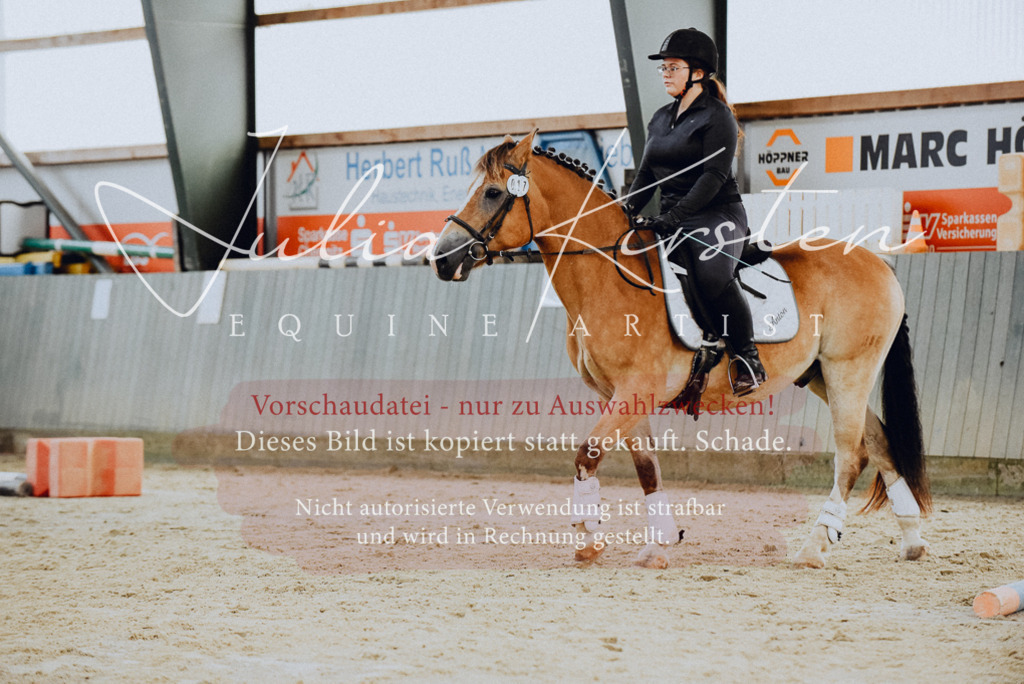 DSC_6794 | Pferde- und Turnierfotografie in Westsachsen. Pferdeportraits, Auftragszeichnungen und intuitive Kunst.
