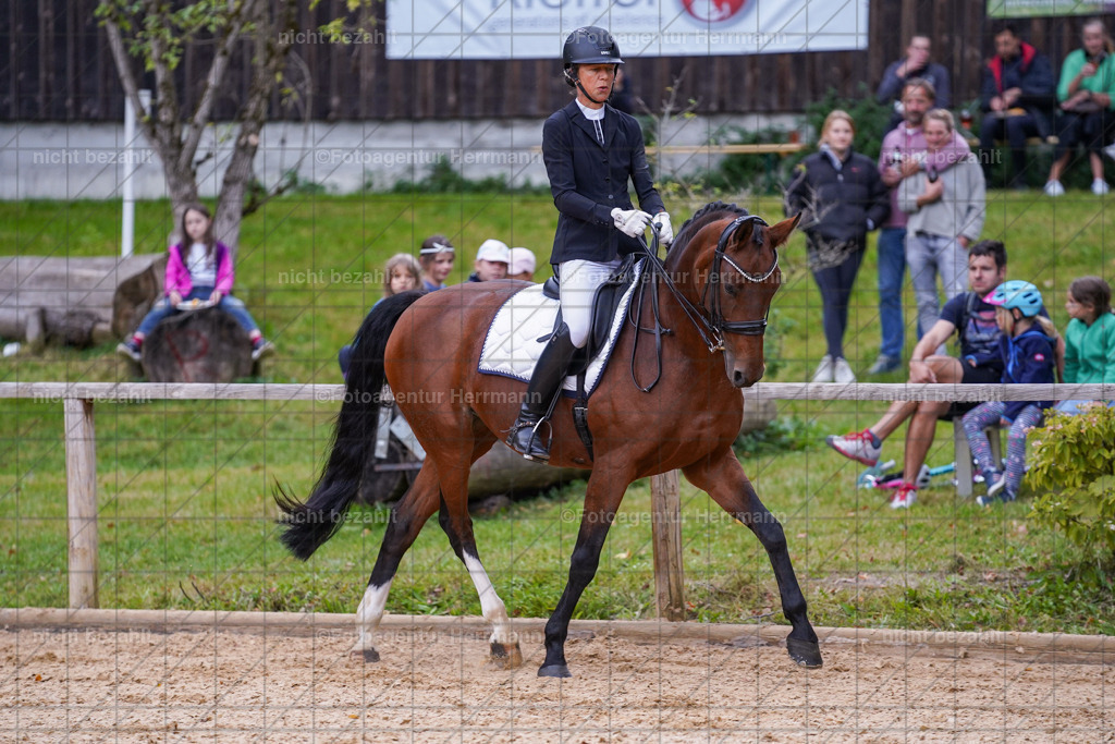 20231007-SN_00763 | Professionelle Turnier- und Reitsportfotografie - mit dem Finger am Auslöser. Pferdebilder aus dem Reitsport von den Turnierfotografen  Bayern , Pferdefotograf Bayern, Pferdeshooting Turnierbilder, Hochzeitsfotograf, Eventfotograf, Hochzeitsbilder