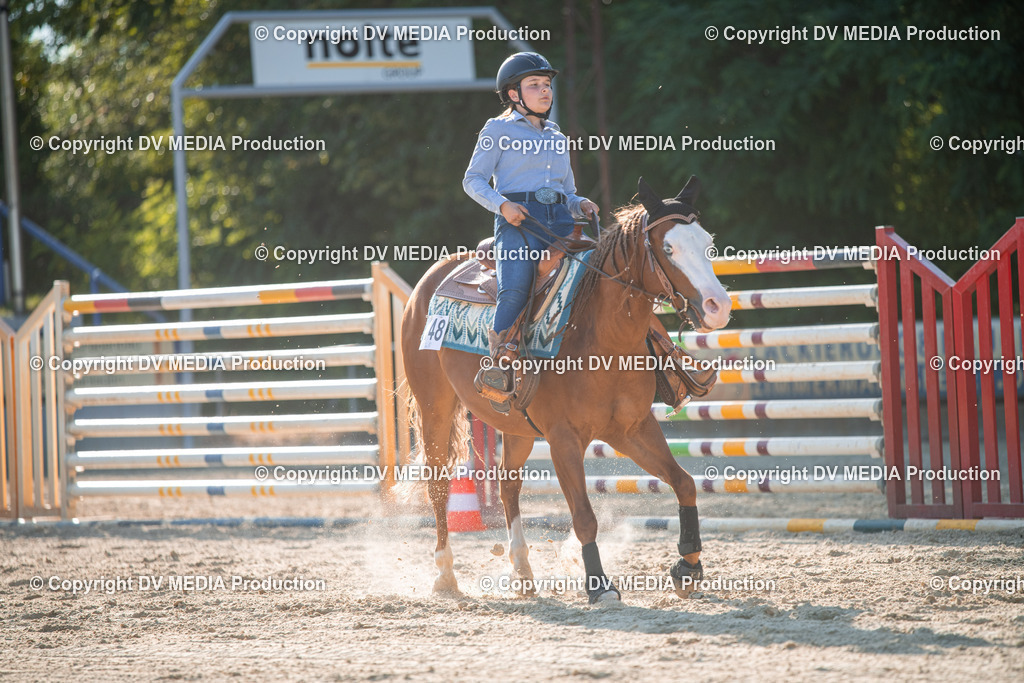 EWP_7112 | dv-media-shop - Realisiert mit Pictrs.com