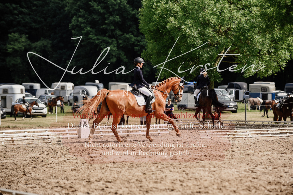 DSC_0029 | Pferde- und Turnierfotografie in Westsachsen. Pferdeportraits, Auftragszeichnungen und intuitive Kunst.