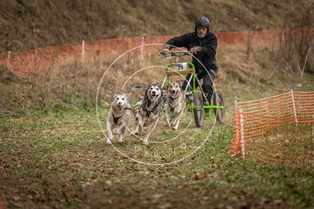 Pfotenfotografie_DV3A8362 | Hundefotografie, Tierfotograf, Pfotenfotografie, Fotoshooting Hund, Hunde Portrait, Hundesport, Hundeportraits, Heideshooting, Hunde, Sportfotograf, Hundefotograf, Turnierhundsport, THS,  - Realisiert mit Pictrs.com