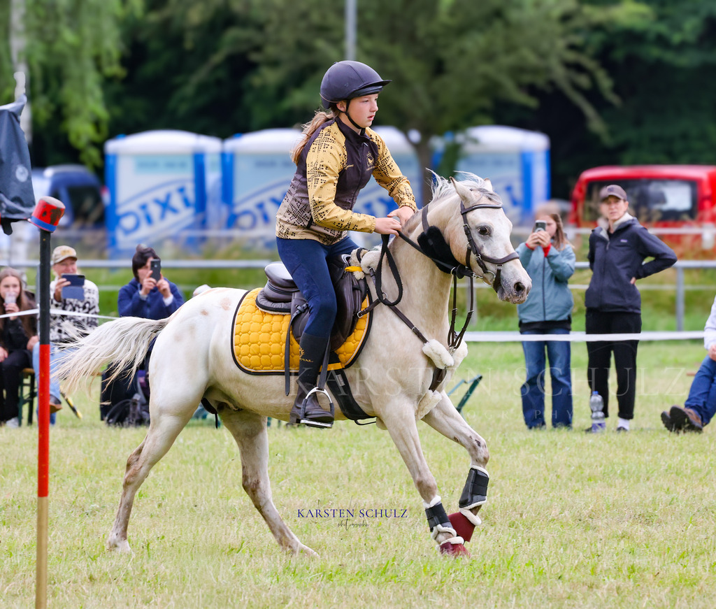 1B3A0030 | Reitsport Reiten