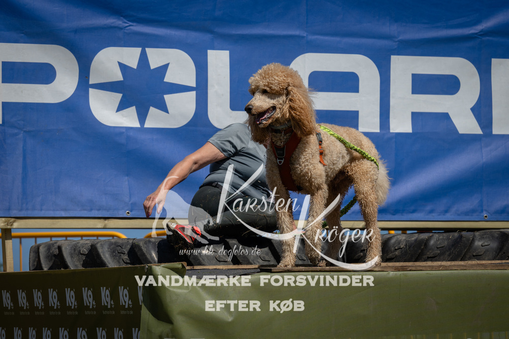1248_ZZ96720 | kk-dogfotos