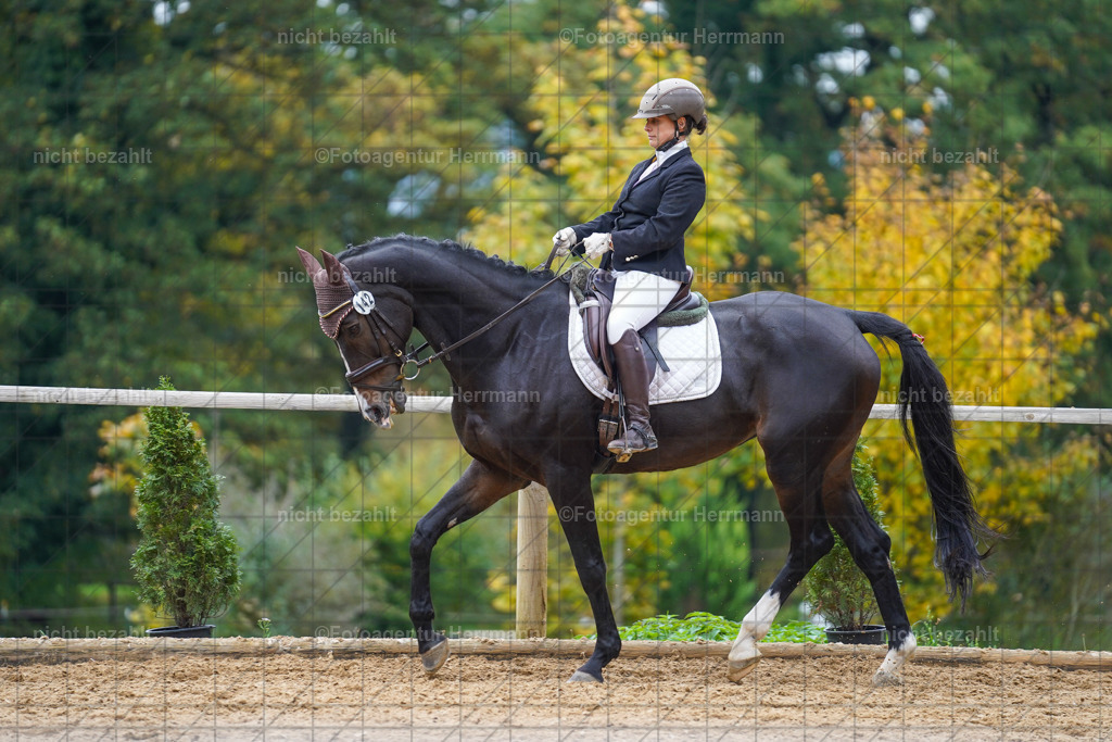 20221008-FAH01691 | Diessen am Ammersee, 2022, Dressur- und Springturnier, Reitsportbilder, Turnierfotografen Bayern, Pferdefotografen, Fotoagentur Herrmann, Turnierbilder