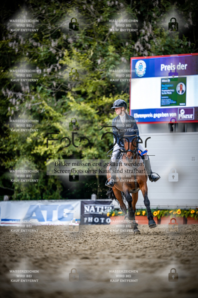 2026-09---Waldhof-11-0045 | Entdecke hochwertige Reitturnierfotos von Foto Oger. Professionell, emotional und authentisch – jetzt Lieblingsmomente im Shop bestellen.Deutschlandweite Turnierfotografie. - Realisiert mit Pictrs.com