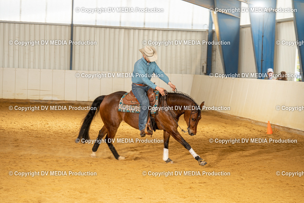 MIT01134 | dv-media-shop - Realisiert mit Pictrs.com