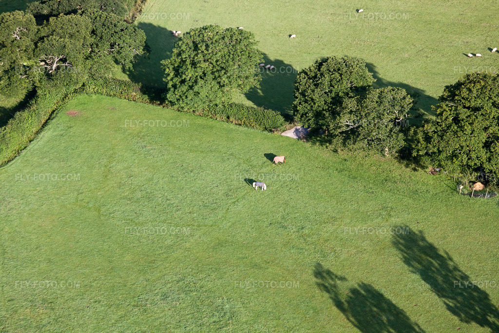 Aerial view: View of the town in Abbotskerswell in the state England, Great Britain. – Photo: IMG_19729.jpg taken on 07/25/2009 by Werner Riehm/FLY-FOTO.com – Resolution of the original: 4752 x 3168 px